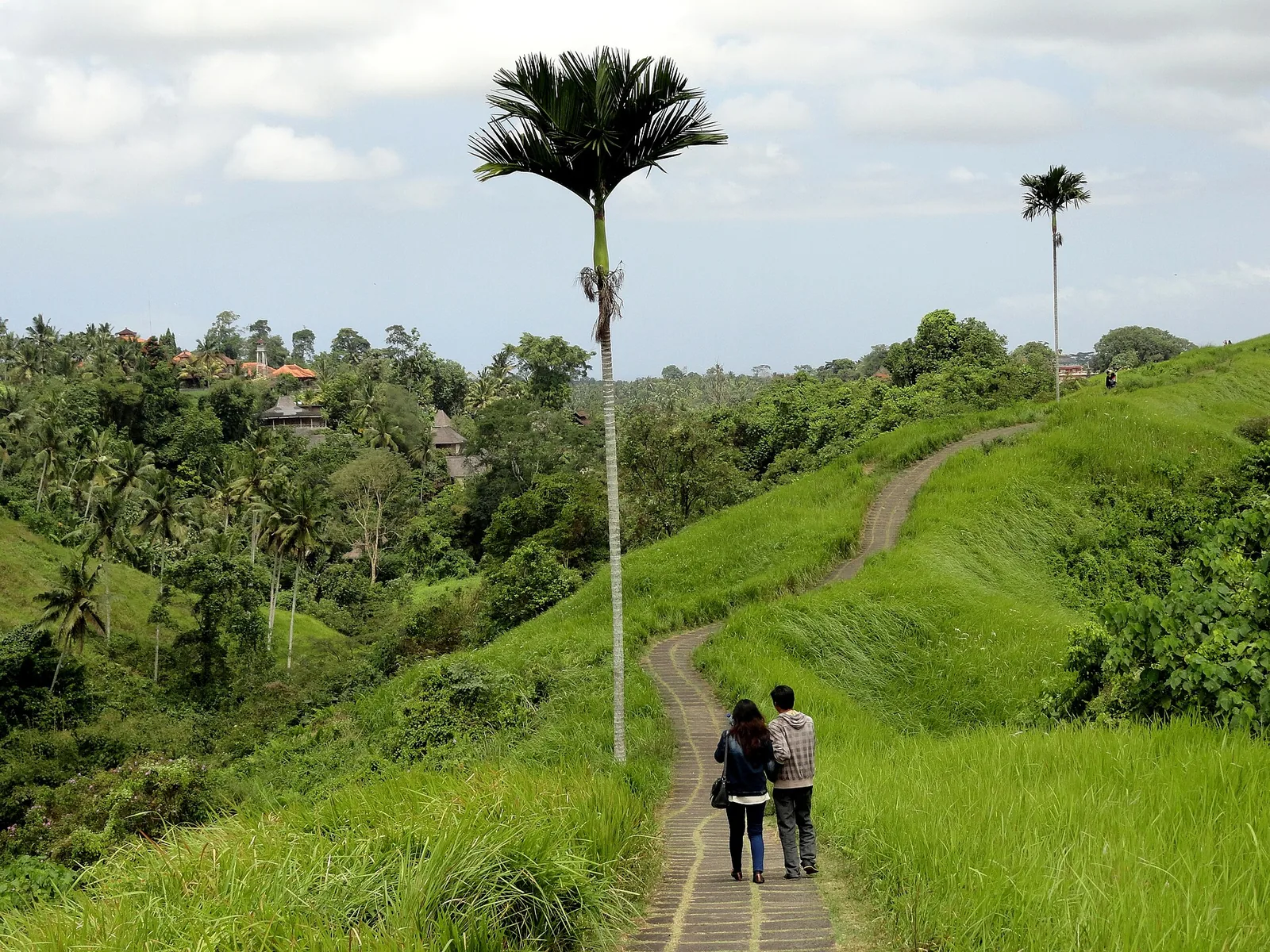 3-Day Itinerary for a Bali Ayahuasca Retreat Experience