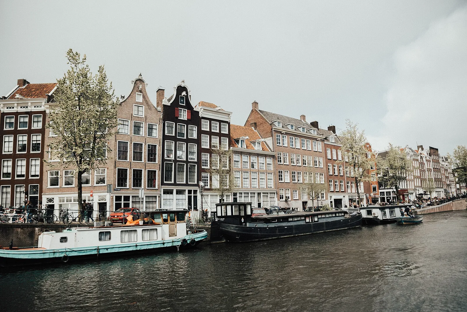 Ayahuasca and Psychedelic Ceremonies in the Netherlands: Legal Grey Zones Explained