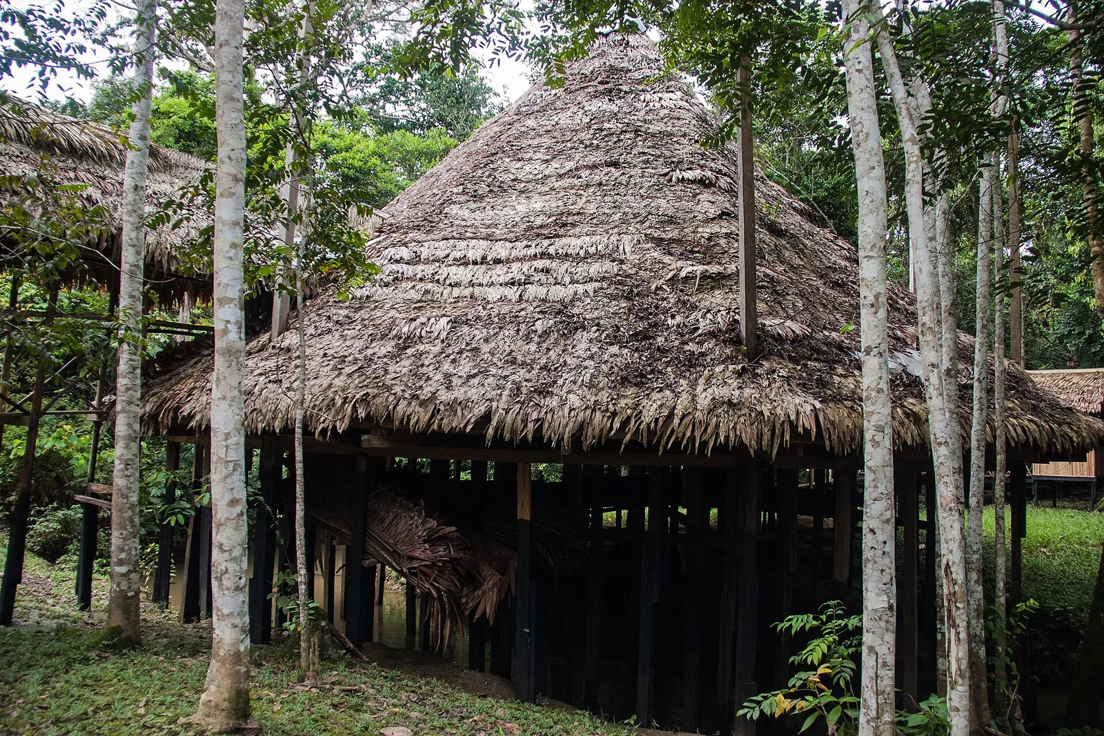 Ayahuasca Retreats in Peru: Legal Context, Safety and How to Research Centers