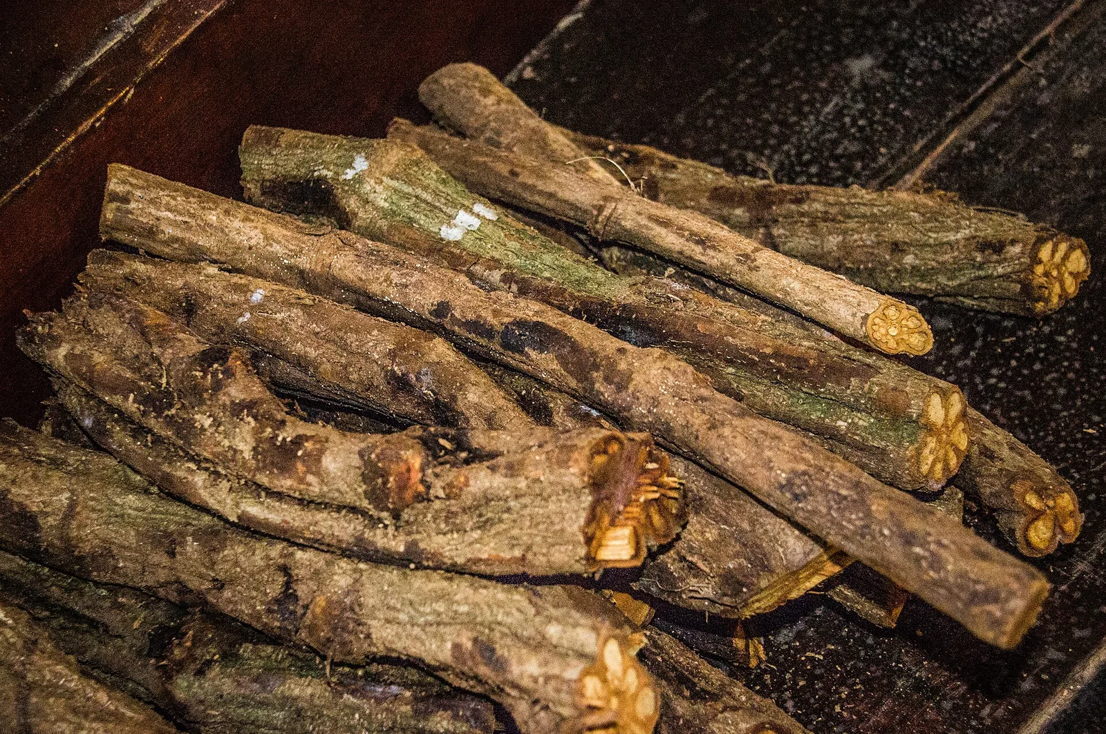 How to Spot Illegal Ayahuasca Retreats in Bali: Red Flags for Travellers