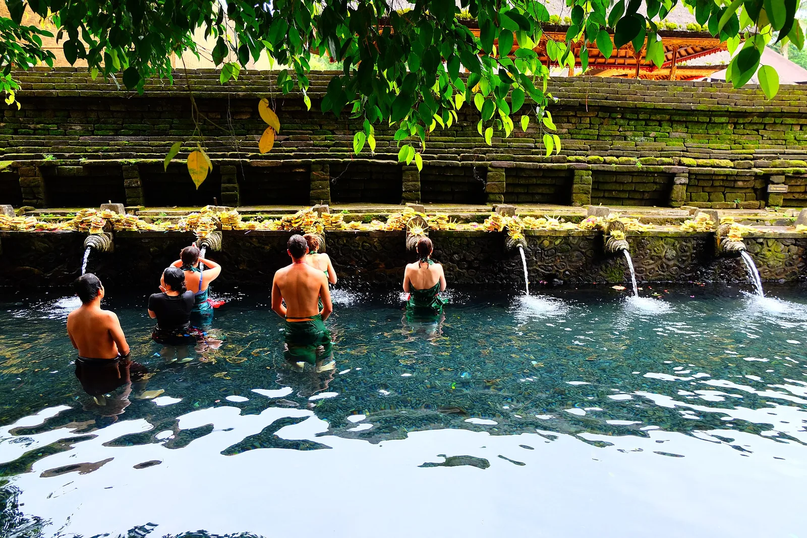 Legal Healing Retreats in Bali vs. Ayahuasca Retreats Abroad: How to Decide