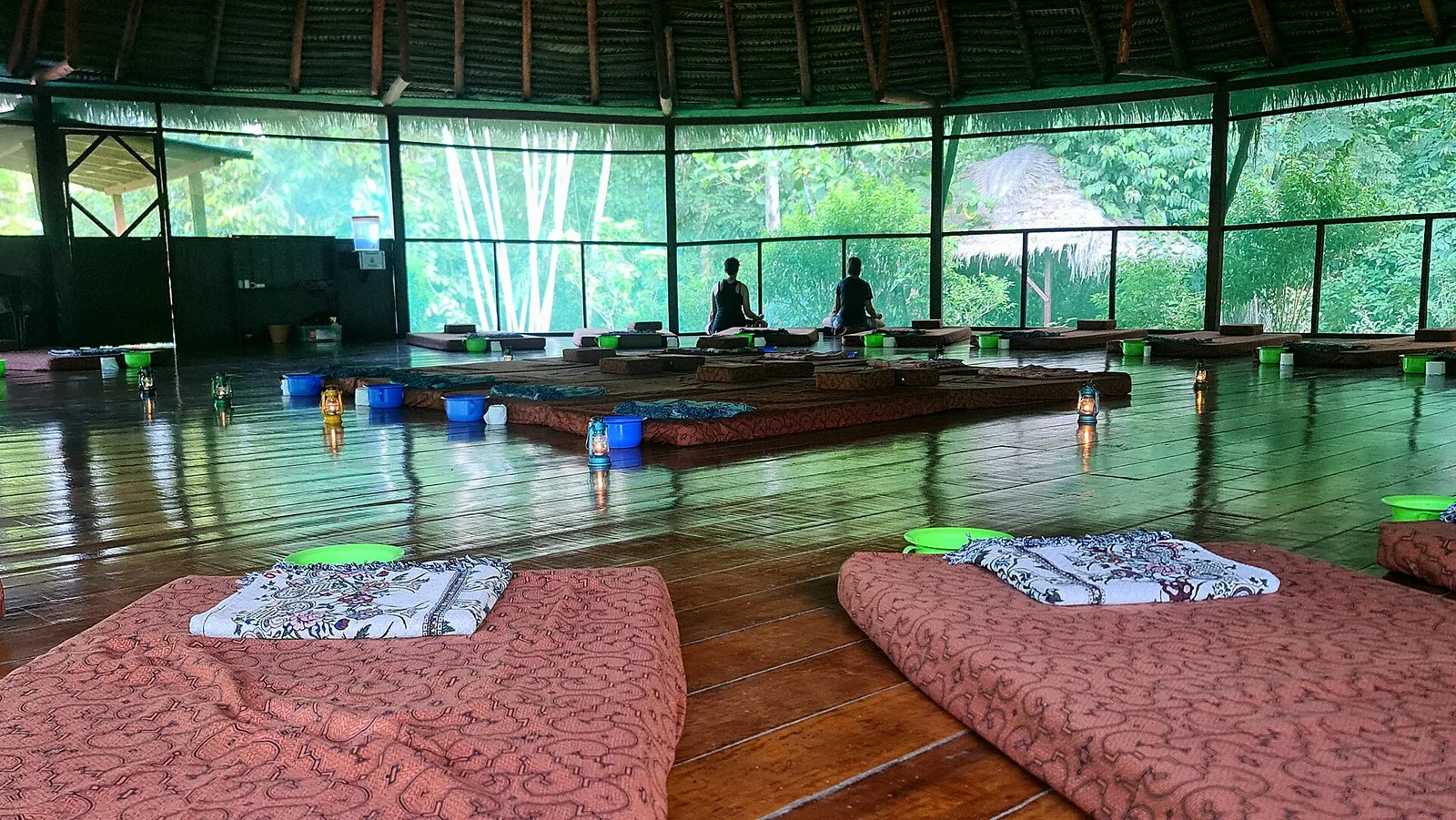 Ayahuasca Retreat Trends 2027: Future