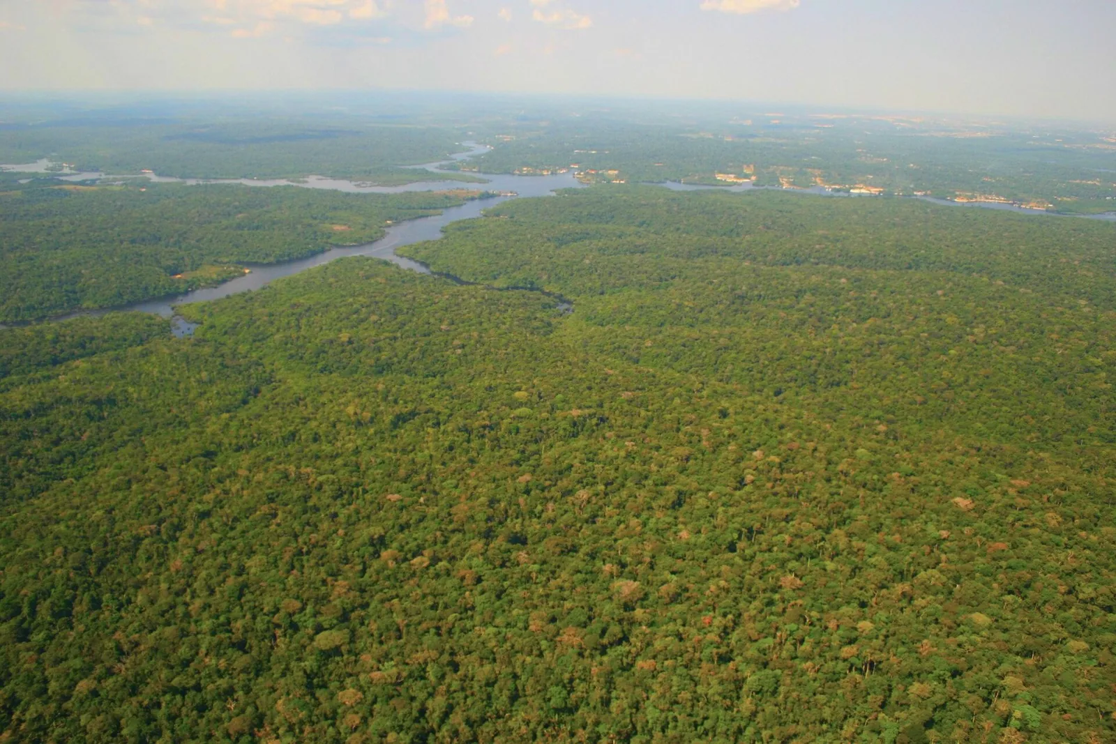 Ayahuasca Retreats and Environmental Conservation: A 2027 Perspective