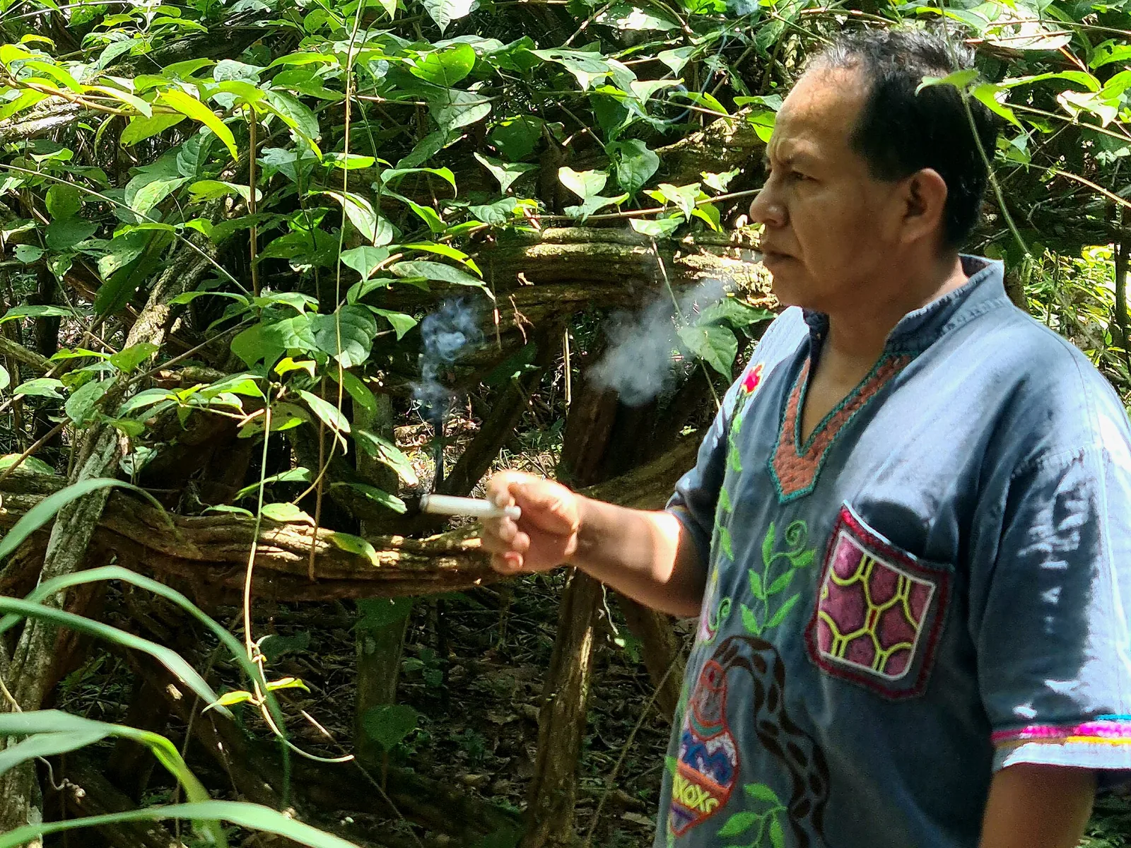 The Role of Music in Ayahuasca Ceremonies